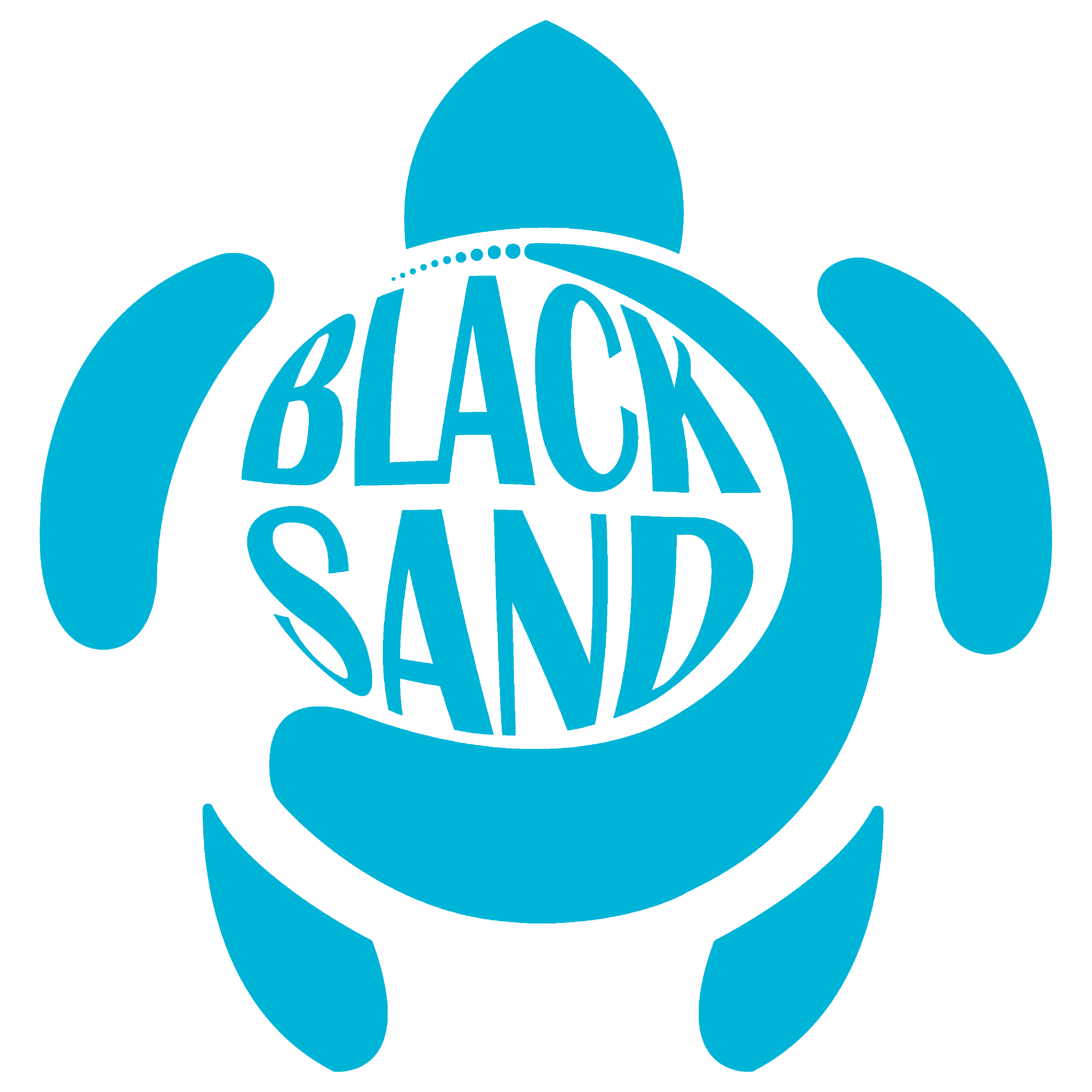 Black Sand Diving La Palma
