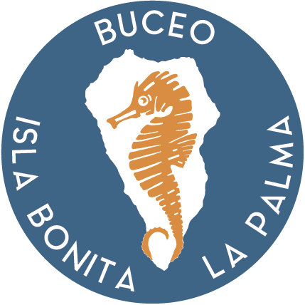 Buceo Isla Bonita