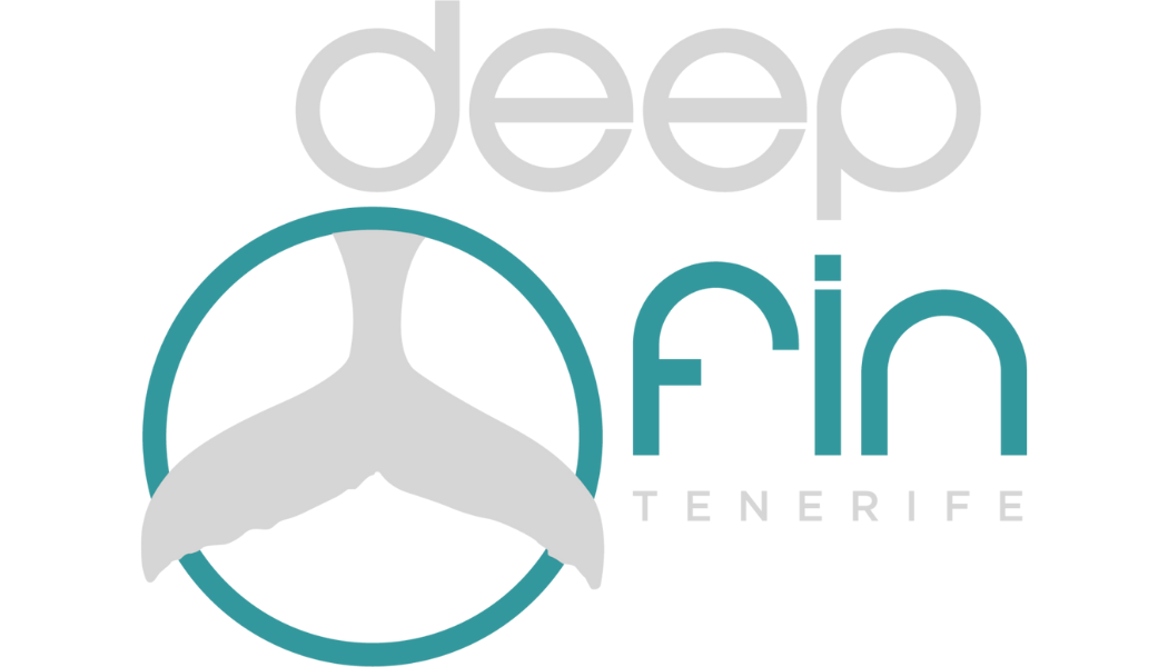Deep Fin Tenerife