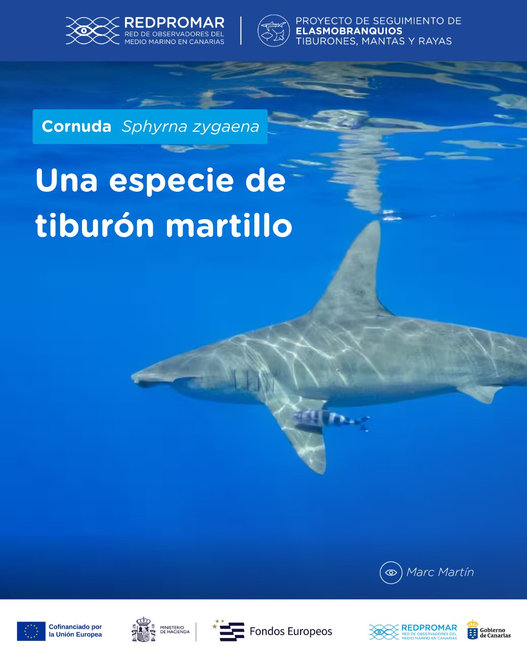 Specie