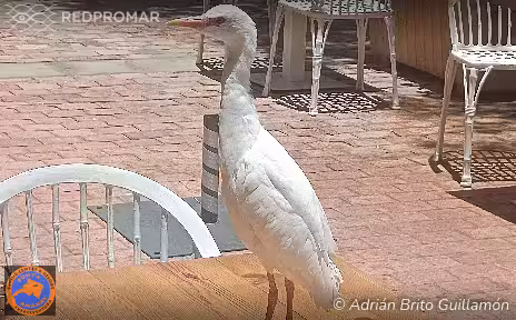 Sighting
